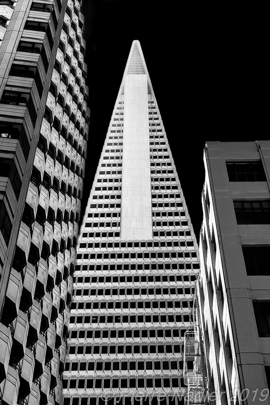 San Francisco : Elevation Dark Sky 07